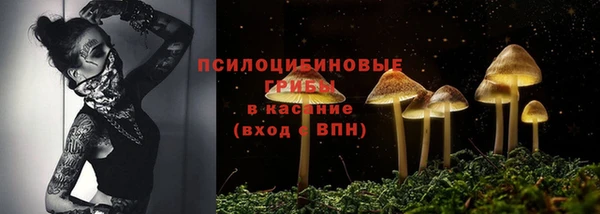a pvp Алзамай
