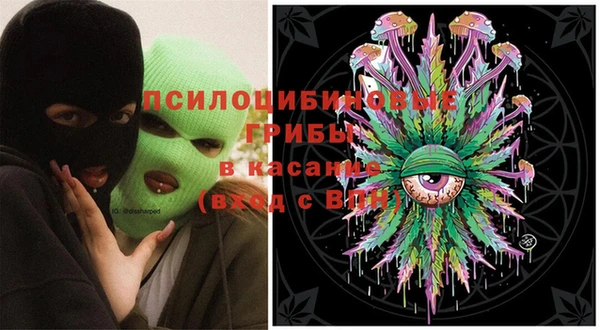 a pvp Алзамай