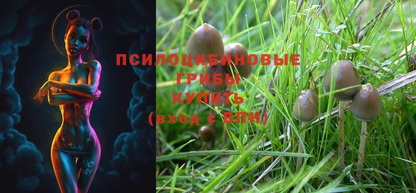первитин Алексеевка